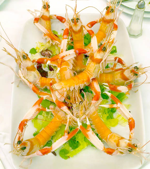 ¿Qué le gustaría comer hoy?