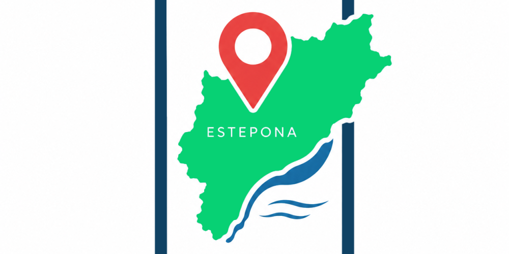 Creación de webs a medida en Estepona