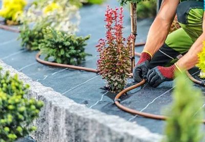 Escuela de Jardinería en Estepona