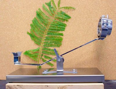 Jamoneras en Estepona